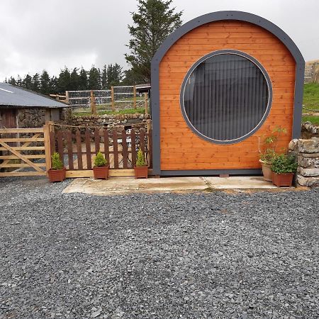 Trawsfynydd Penystryd酒店 外观 照片
